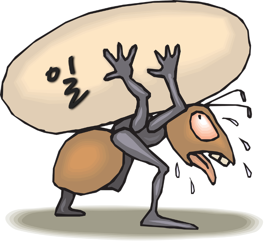 3555386117_ECQ5iNfM_c9d759d612ecf01ef3cd4296a7d98c65648bbff9.png 이미지크게보기
