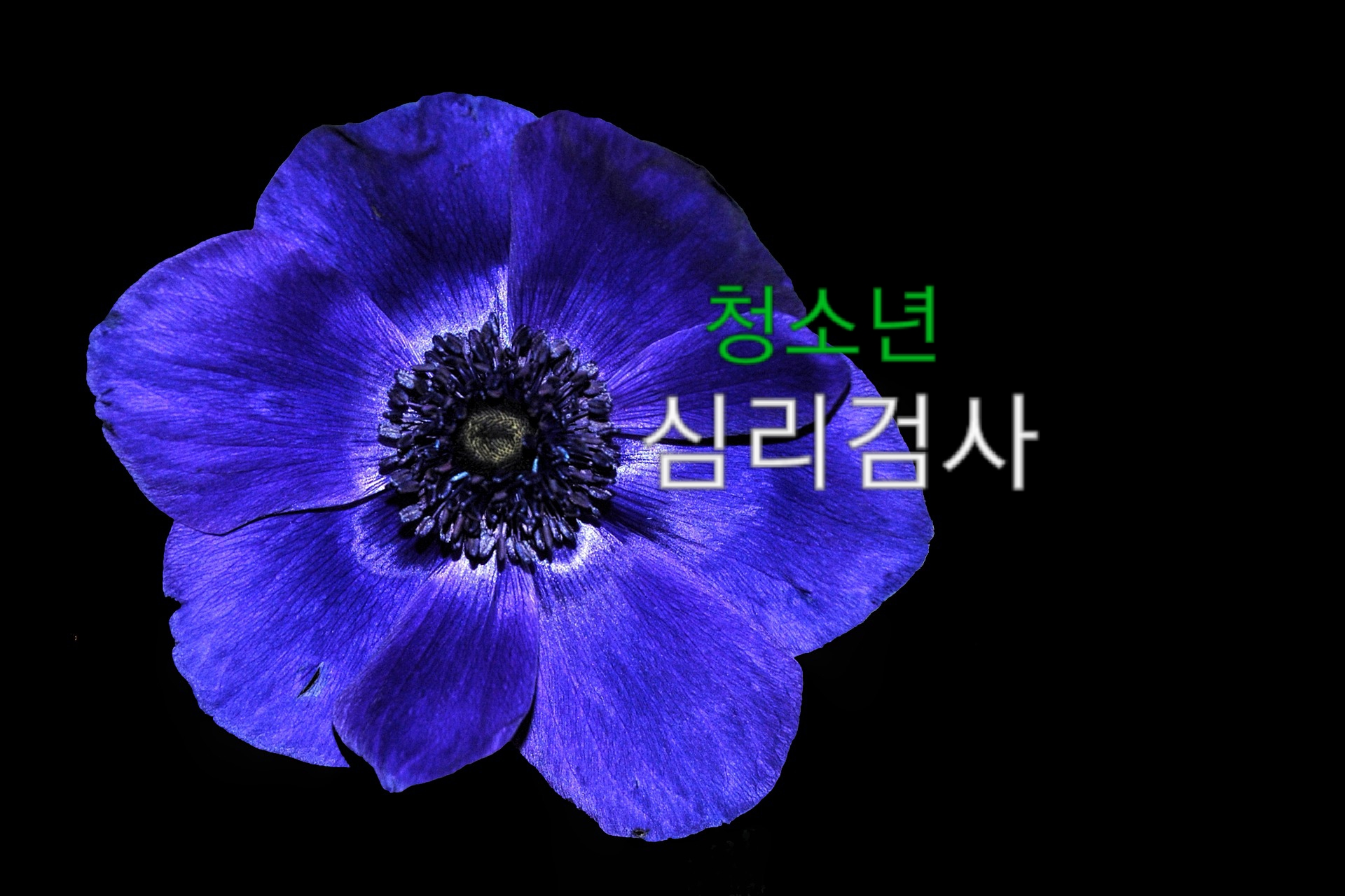 2039198868_1e7YEPSL_9ad0a587885df44ae8c0cb41dded810d7dbcf0a2.jpg 이미지크게보기