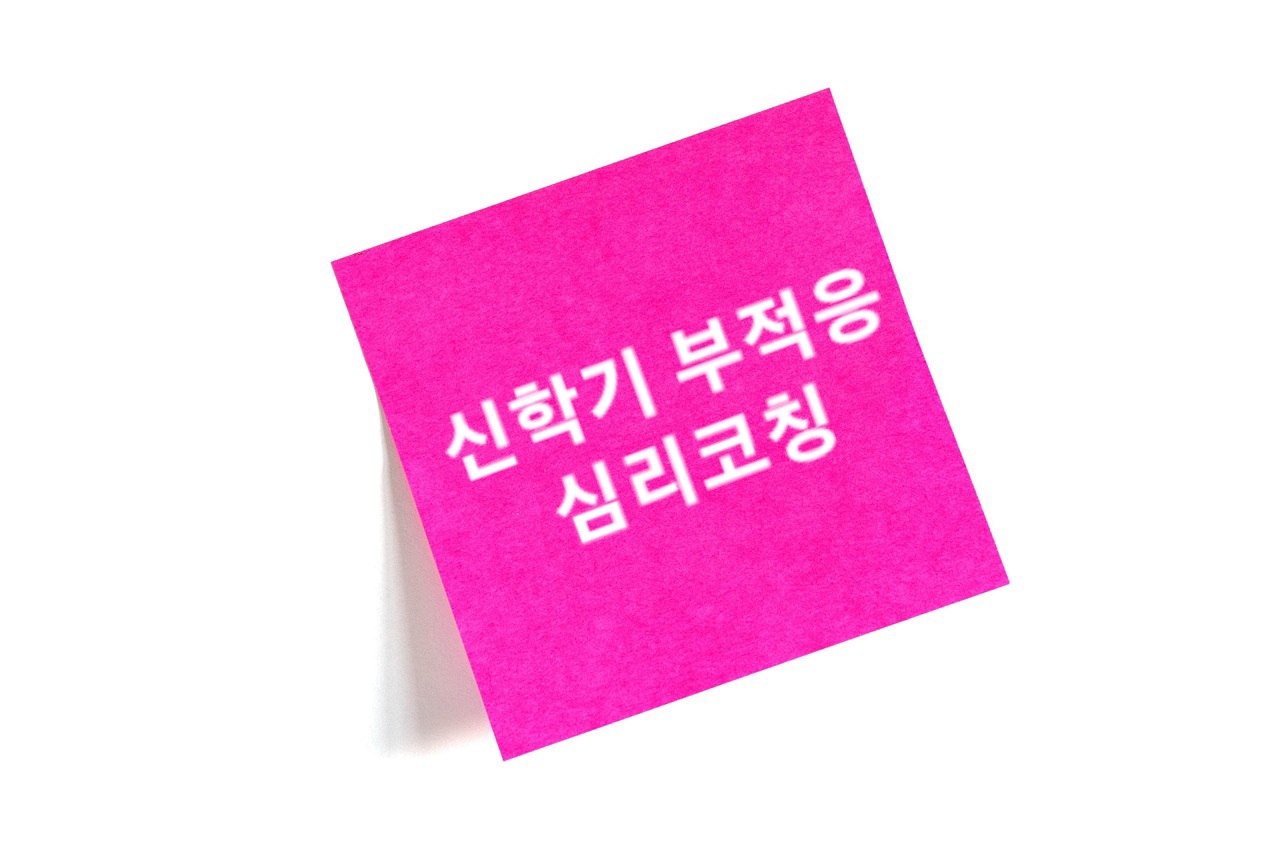 3698865986_bqQTW8ex_5c535ddab5c4248800bf36056cb4ceba6b5dc53a.jpg 이미지크게보기