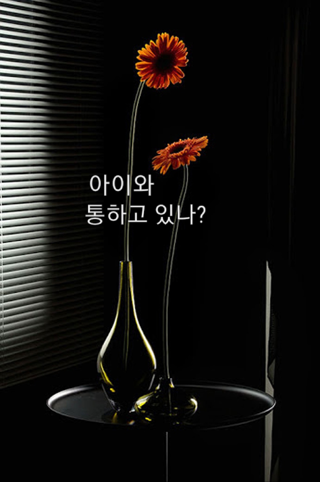 2039198868_FBQjIvEy_c45d5efa3446855171ed4c63c87b074c72e124aa.jpg 이미지크게보기