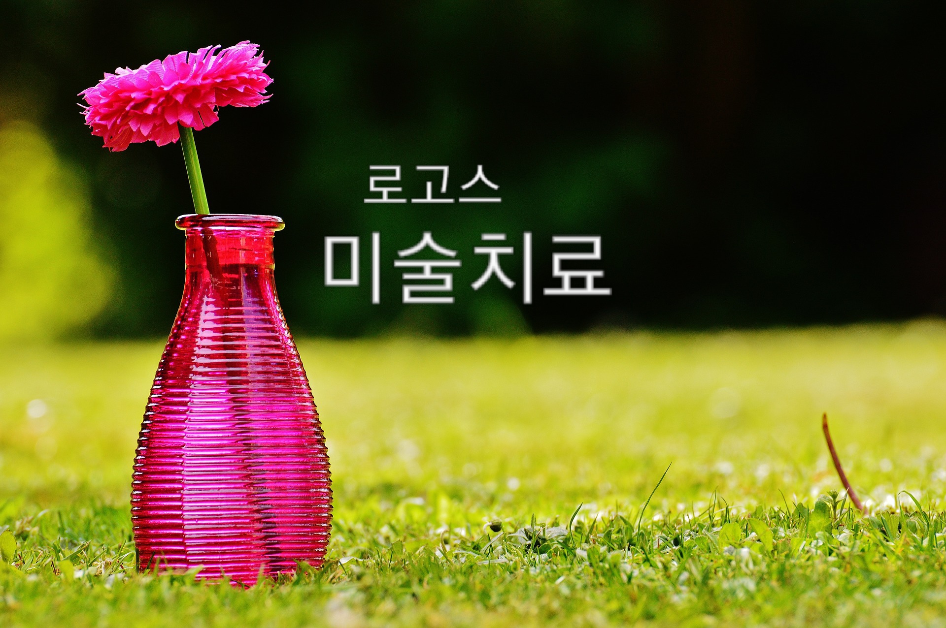 2039198868_fRYGSOAW_32cf639fb751db0d55603920c577d2e26d3caef7.jpg 이미지크게보기