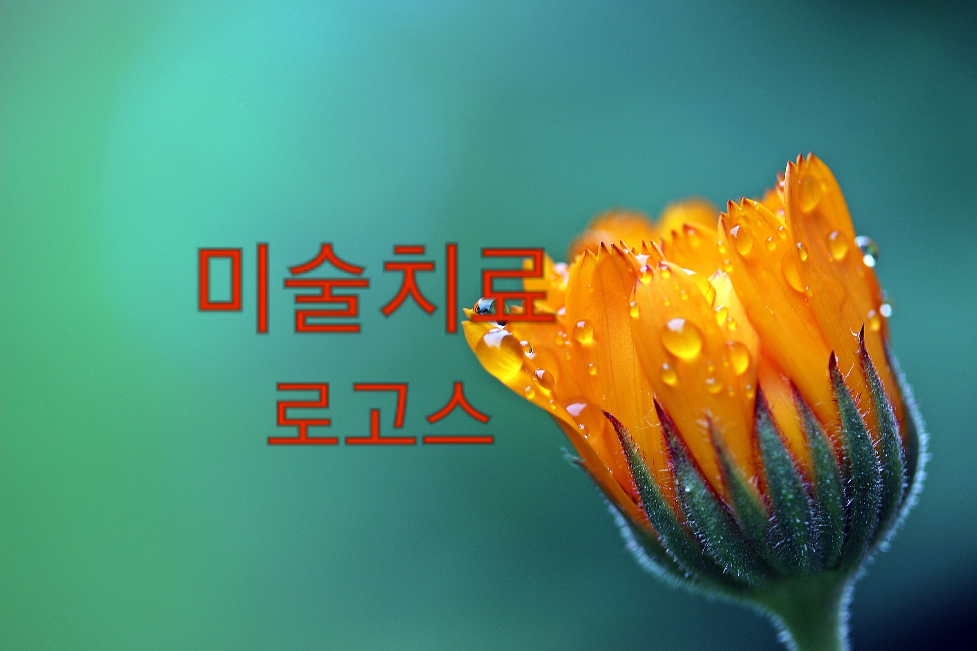 2039198868_vZ9VXD2Q_d0a23018b927e971de4da929654ee00ae925cfd4.jpg 이미지크게보기